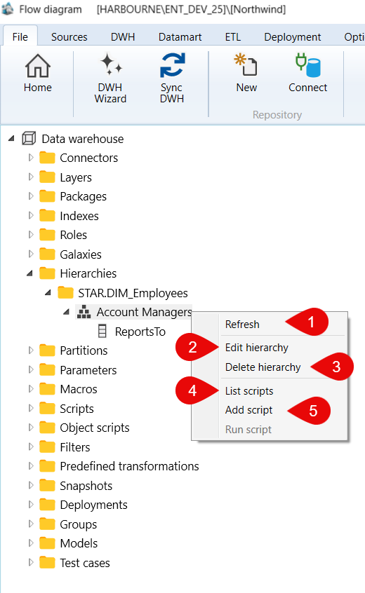 Data warehouse > Hierarchies > STAR.DIM_Employees > Account Managers context menu