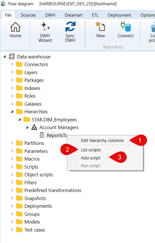 Data warehouse > Hierarchies > STAR.DIM_Employees > Account Managers > ReportsTo context menu