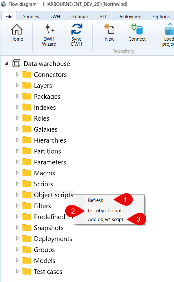 Data warehouse > Object scripts context menu