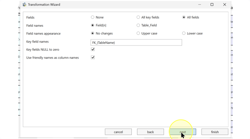 Field selection, duplicate-name handling, casing, key-name template, and NULL and friendly-name checkboxes.