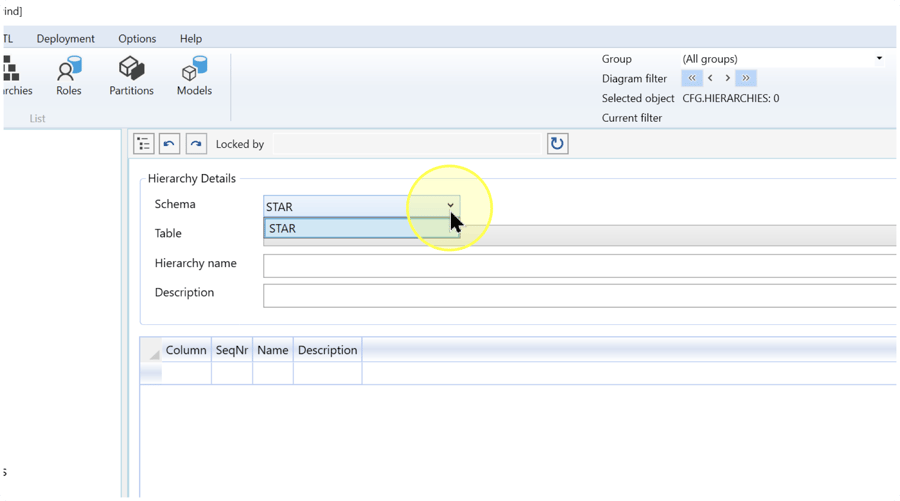 Hierarchy Details with the Schema list open and STAR selected above an empty level grid.