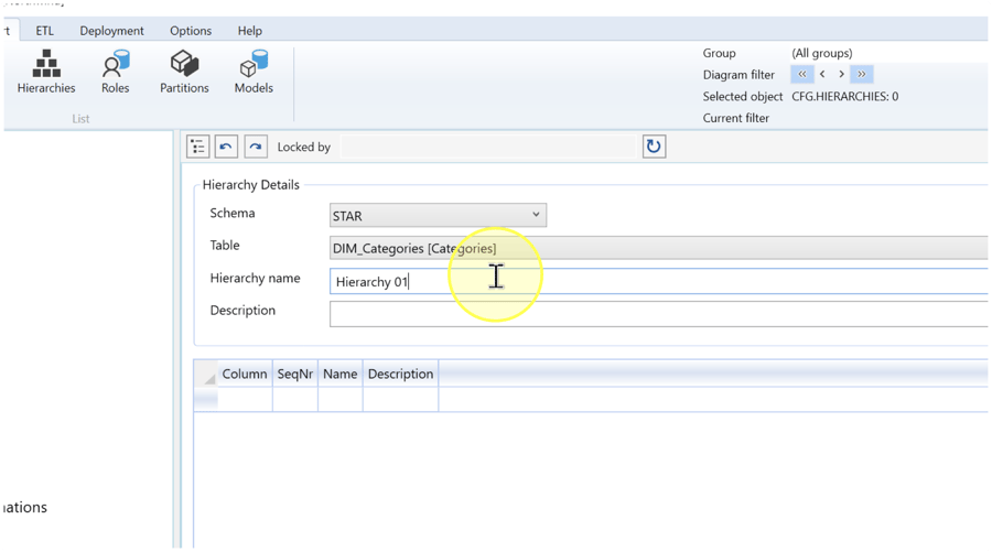 Hierarchy name contains Hierarchy 01; the hierarchy Description field and level grid are still blank.