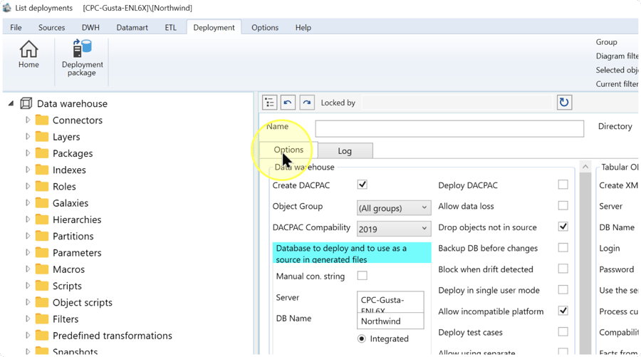 Review database and artifact options. Screenshot values are examples.