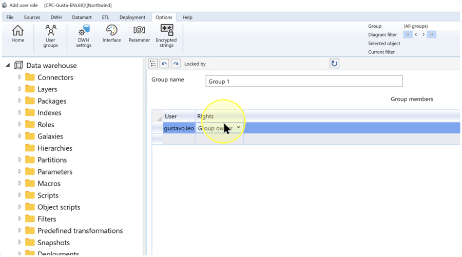 Group members table with a selected User row and a Rights drop-down displaying Group owner.