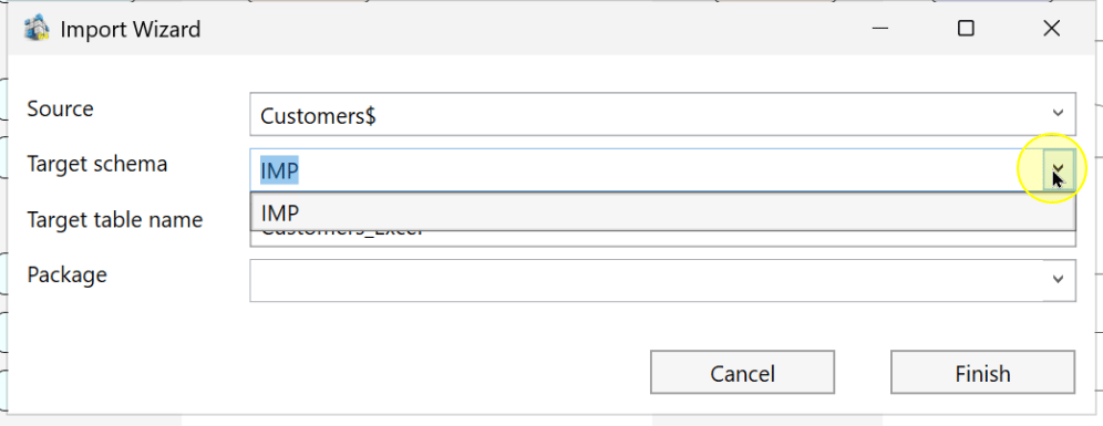 Select the target schema in Import Wizard